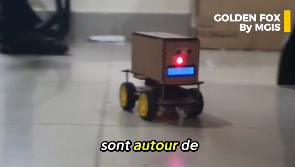 GOLDEN FOX – MORNING GLORY INTERNATIONNAL SCHOOL